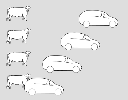 spacetime diagram of a car and a cow, in the cow's frame of reference